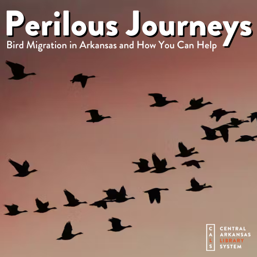 Image for event: Perilous Journeys